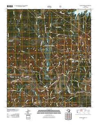 Boykin Spring Texas Historical topographic map, 1:24000 scale, 7.5 X 7.5 Minute, Year 2010