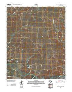 Boys Ranch East Texas Historical topographic map, 1:24000 scale, 7.5 X 7.5 Minute, Year 2010