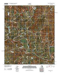 Brazos Point Texas Historical topographic map, 1:24000 scale, 7.5 X 7.5 Minute, Year 2010