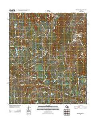 Brazos Point Texas Historical topographic map, 1:24000 scale, 7.5 X 7.5 Minute, Year 2013