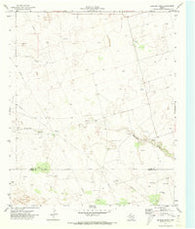 Brinson Ranch Texas Historical topographic map, 1:24000 scale, 7.5 X 7.5 Minute, Year 1971