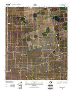 Brinson Ranch Texas Historical topographic map, 1:24000 scale, 7.5 X 7.5 Minute, Year 2010
