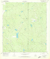 Briscoe Ranch Texas Historical topographic map, 1:24000 scale, 7.5 X 7.5 Minute, Year 1969
