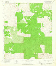 Brokeleg Mountain Texas Historical topographic map, 1:24000 scale, 7.5 X 7.5 Minute, Year 1963