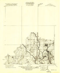 Bronte Texas Historical topographic map, 1:31680 scale, 7.5 X 7.5 Minute, Year 1921
