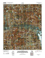 Brownsboro Texas Historical topographic map, 1:24000 scale, 7.5 X 7.5 Minute, Year 2010
