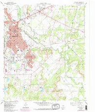 Brownwood Texas Historical topographic map, 1:24000 scale, 7.5 X 7.5 Minute, Year 1980