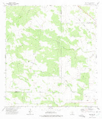 Bruni SE Texas Historical topographic map, 1:24000 scale, 7.5 X 7.5 Minute, Year 1972