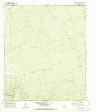 Brunson Ranch Texas Historical topographic map, 1:24000 scale, 7.5 X 7.5 Minute, Year 1970