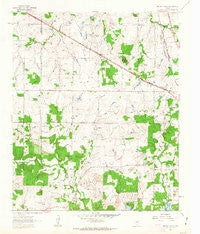 Brushy Mound Texas Historical topographic map, 1:24000 scale, 7.5 X 7.5 Minute, Year 1961
