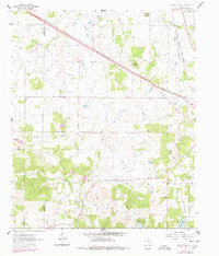 Brushy Mound Texas Historical topographic map, 1:24000 scale, 7.5 X 7.5 Minute, Year 1961