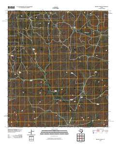 Brushy Draw Texas Historical topographic map, 1:24000 scale, 7.5 X 7.5 Minute, Year 2010