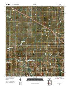 Brushy Mound Texas Historical topographic map, 1:24000 scale, 7.5 X 7.5 Minute, Year 2010