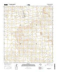Bryant Ranch Texas Current topographic map, 1:24000 scale, 7.5 X 7.5 Minute, Year 2016