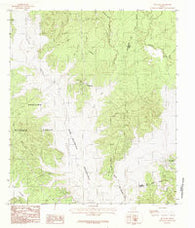 Buck Bay Texas Historical topographic map, 1:24000 scale, 7.5 X 7.5 Minute, Year 1984
