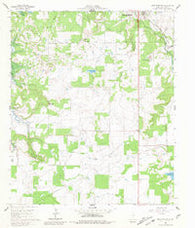 Buck Mountain Texas Historical topographic map, 1:24000 scale, 7.5 X 7.5 Minute, Year 1961
