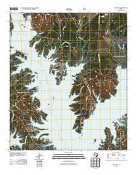 Buck Bay Texas Historical topographic map, 1:24000 scale, 7.5 X 7.5 Minute, Year 2010