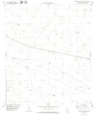Buckhorn Draw East Texas Historical topographic map, 1:24000 scale, 7.5 X 7.5 Minute, Year 1979