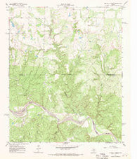 Buckle L Ranch Texas Historical topographic map, 1:24000 scale, 7.5 X 7.5 Minute, Year 1967