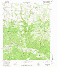 Buckle L Ranch Texas Historical topographic map, 1:24000 scale, 7.5 X 7.5 Minute, Year 1967