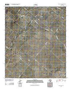Buena Vista Texas Historical topographic map, 1:24000 scale, 7.5 X 7.5 Minute, Year 2010