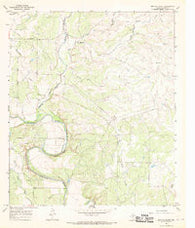 Buffalo Bluff Texas Historical topographic map, 1:24000 scale, 7.5 X 7.5 Minute, Year 1967