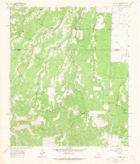 Buffalo Draw Texas Historical topographic map, 1:24000 scale, 7.5 X 7.5 Minute, Year 1963