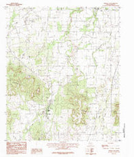 Buffalo Gap Texas Historical topographic map, 1:24000 scale, 7.5 X 7.5 Minute, Year 1984