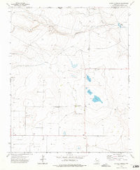 Buffalo Springs Texas Historical topographic map, 1:24000 scale, 7.5 X 7.5 Minute, Year 1973