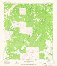 Buffalo Well Texas Historical topographic map, 1:24000 scale, 7.5 X 7.5 Minute, Year 1963