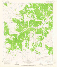 Buffalo Well NW Texas Historical topographic map, 1:24000 scale, 7.5 X 7.5 Minute, Year 1963