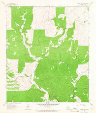 Buffalo Well SE Texas Historical topographic map, 1:24000 scale, 7.5 X 7.5 Minute, Year 1963