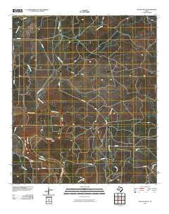 Buffalo Bluff Texas Historical topographic map, 1:24000 scale, 7.5 X 7.5 Minute, Year 2010