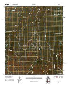 Buffalo Draw Texas Historical topographic map, 1:24000 scale, 7.5 X 7.5 Minute, Year 2010