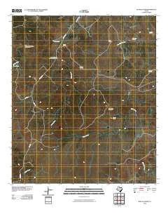 Buffalo Knob Texas Historical topographic map, 1:24000 scale, 7.5 X 7.5 Minute, Year 2010