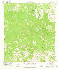 Bull Waterhole Texas Historical topographic map, 1:24000 scale, 7.5 X 7.5 Minute, Year 1974