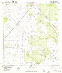 Bullshead Creek Texas Historical topographic map, 1:24000 scale, 7.5 X 7.5 Minute, Year 1979