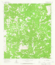 Bundy Ranch Texas Historical topographic map, 1:24000 scale, 7.5 X 7.5 Minute, Year 1962