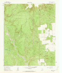 Bunker Hill Texas Historical topographic map, 1:24000 scale, 7.5 X 7.5 Minute, Year 1961