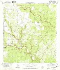 Burkes Ridge Texas Historical topographic map, 1:24000 scale, 7.5 X 7.5 Minute, Year 1979
