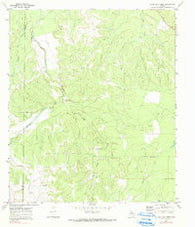 Burr Oak Creek Texas Historical topographic map, 1:24000 scale, 7.5 X 7.5 Minute, Year 1970