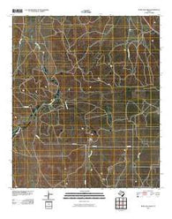 Burr Oak Creek Texas Historical topographic map, 1:24000 scale, 7.5 X 7.5 Minute, Year 2010