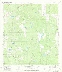 Burrito Tank Texas Historical topographic map, 1:24000 scale, 7.5 X 7.5 Minute, Year 1980