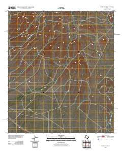 Burro Draw Texas Historical topographic map, 1:24000 scale, 7.5 X 7.5 Minute, Year 2010