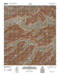 Busher Canyon Texas Historical topographic map, 1:24000 scale, 7.5 X 7.5 Minute, Year 2010
