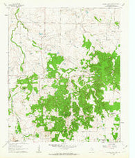Buzzard Roost Knob Texas Historical topographic map, 1:24000 scale, 7.5 X 7.5 Minute, Year 1960