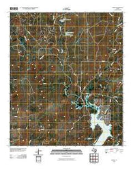 Byrds Texas Historical topographic map, 1:24000 scale, 7.5 X 7.5 Minute, Year 2010
