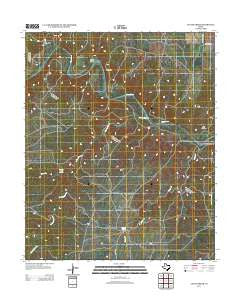 Cactus Creek Texas Historical topographic map, 1:24000 scale, 7.5 X 7.5 Minute, Year 2012