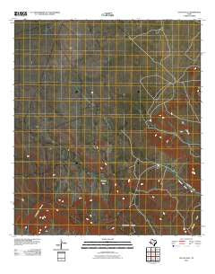 Cactus Flat Texas Historical topographic map, 1:24000 scale, 7.5 X 7.5 Minute, Year 2010