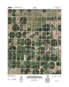 Cactus West Texas Historical topographic map, 1:24000 scale, 7.5 X 7.5 Minute, Year 2012